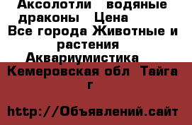 Аксолотли / водяные драконы › Цена ­ 500 - Все города Животные и растения » Аквариумистика   . Кемеровская обл.,Тайга г.